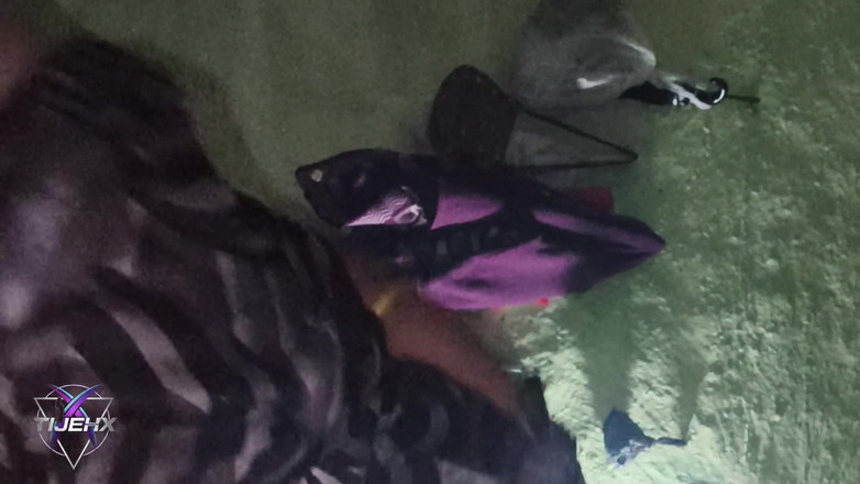 TijehX: 자지를 불고 내 정액을 삼키는 핫한 Sangeeta Bhabhi