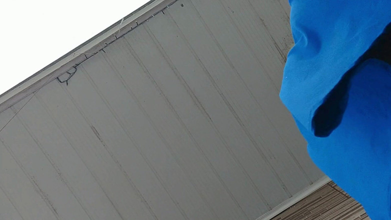 Priscila: Tinggalkan Telefon Bimbit Saya Merakam Ibu Tiri Saya Semasa Membersihkan...