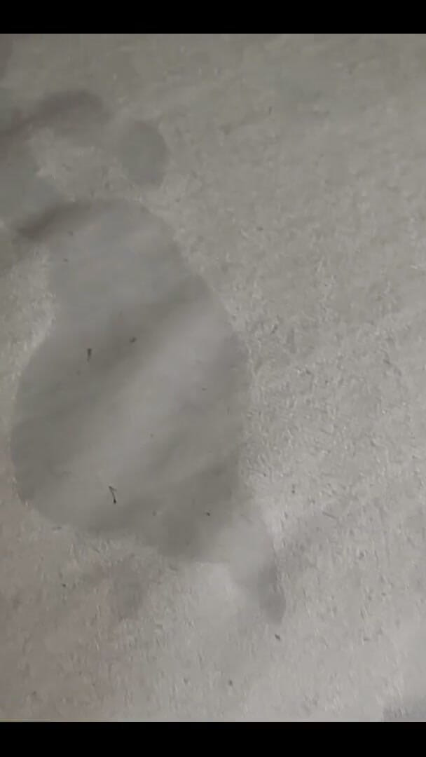 So Much for Fresh Sheets