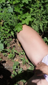 Čůrání na mé zahradě, abych zalékal rostliny