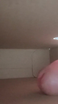 Dick in Box