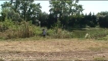 Out Sexxx: Country Cows - DVD-диск Vacche Di Campagna
