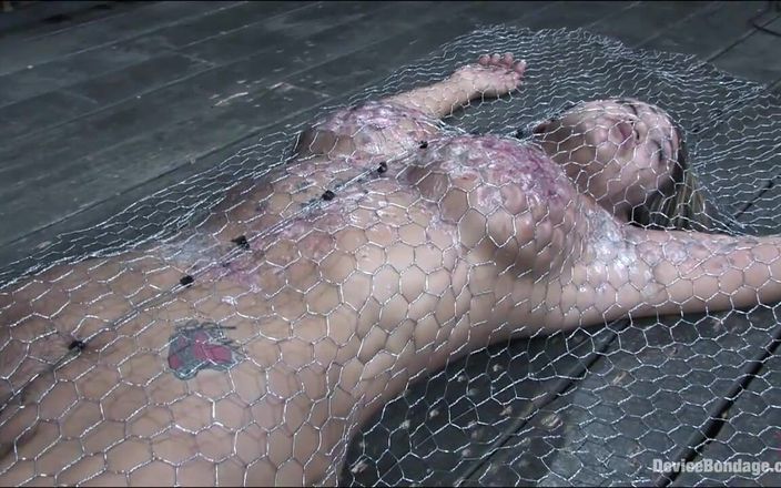 Device Bondage by Kink: Inskriven