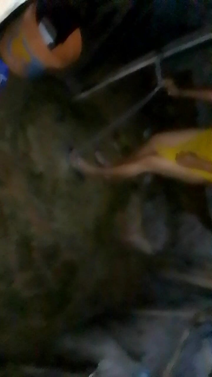 Janua294: Siostra sąsiada cieszy się sikaniem w nocy, nowe wideo