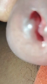 My Cock Videos
