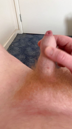 Gingerpubes: Malé sperma zrzavého ptáka