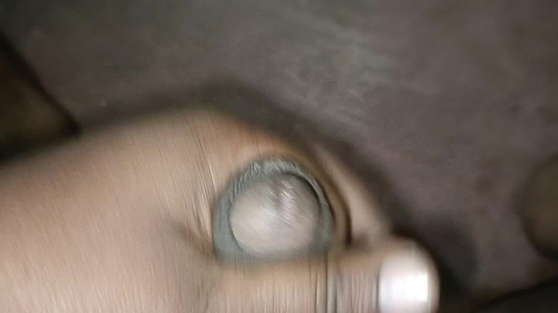 LegalVector8: Indian Hot