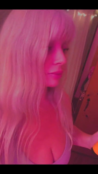 Not Invited Sir Stinkbug