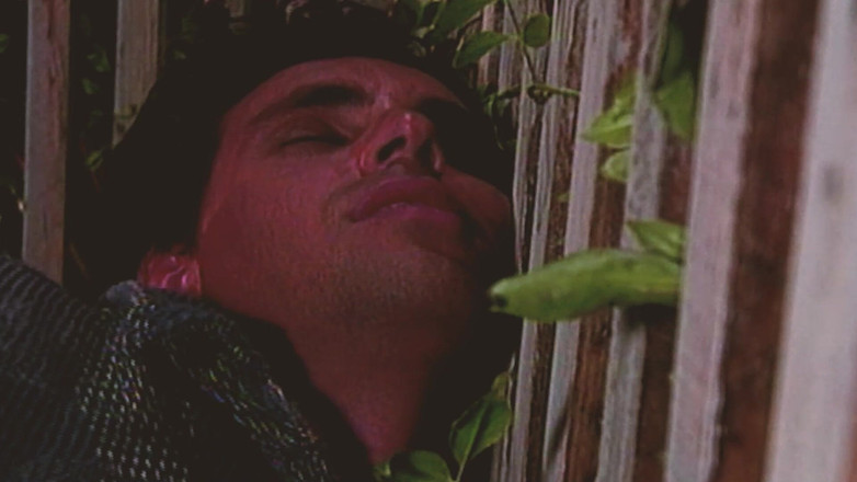 SEXUAL SIN GAY: Scena dell'isola gay 1 caldi ragazzi gay si scopano i culi...