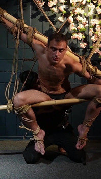 Beautiful Zeus Bound in Jute Shibari Elegance to Powerless Predicament Strain
