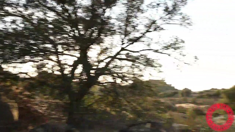 Samantha Rone: Мінді Мінк, Саманта Рон, романтика мамки