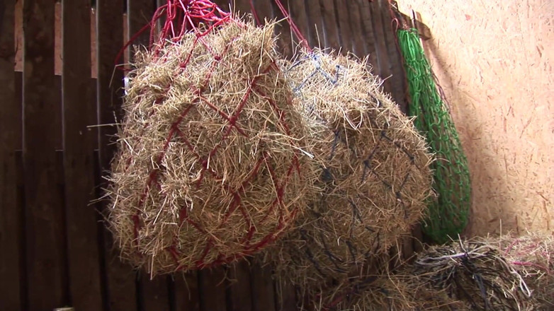 Threesome 4ever: Two lusty MILFS get ridden doggy-style in a barn