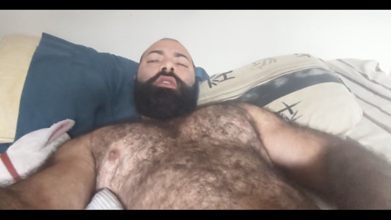 Lobo: Cul poilu