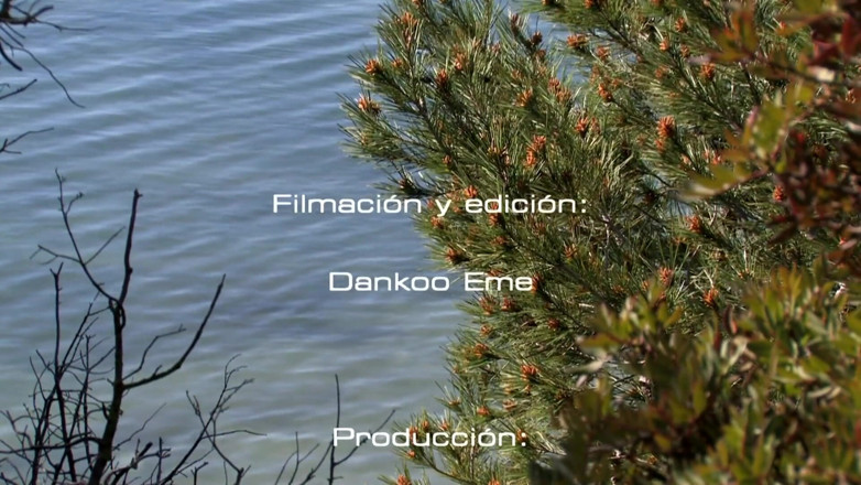Dankoo Films: 코스타 도라다 남자 캐스팅. 풀 무비 HD.