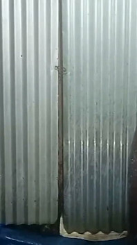 Chuveiro sexo vídeo