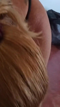 Casal Sem Vergonha