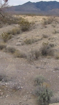 Desert Hike & Jerkoff 7