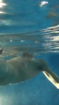 Exclusive video Bareback: Hot pool sex with handsome hunk and sexy horny guys