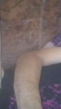Snad Se Libý