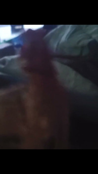 Intro