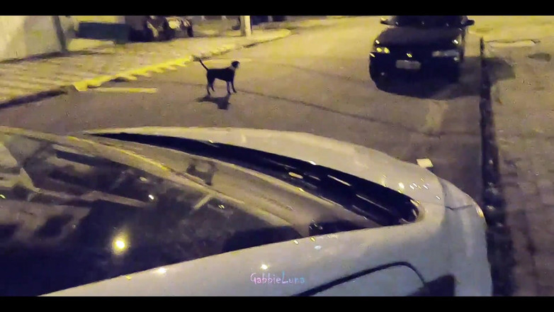 Gabbie Luna: Snídaně v ulici! 18letá děvka mě kouří zdarma uprostřed ulice! Spadl...