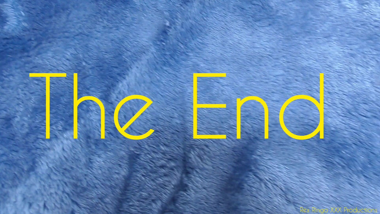 Rex Ringo XXX Productions: Beach Party Freaks 2