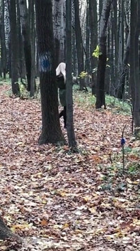 Blonde in the Forest Fucks Standing up with a Stranger on Camera