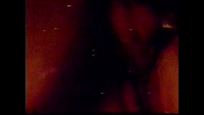 Vintage megastore: De Wilde Veulen