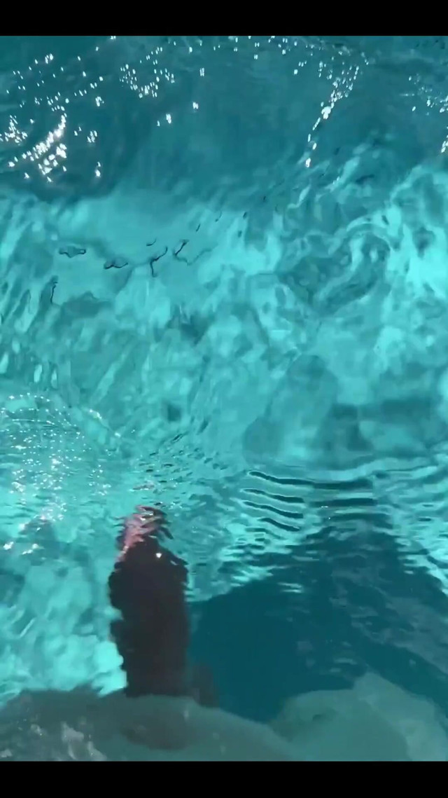 Dangerous Creature in the Water (Samantha Flair Official)