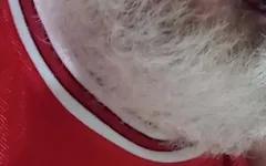 I Swallowed My Yummy Thick Milk