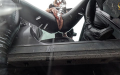 Wet-Wonder: 도로 위에서 흥분한 소변 액션!