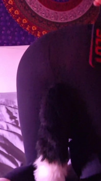 Slap Ass