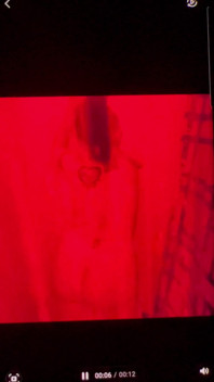Shower Scene