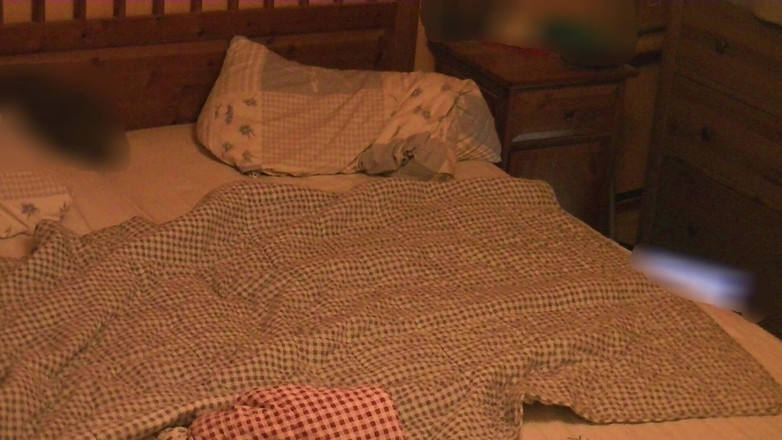 Mark Hannes: 계모의 팬티 혹 자위