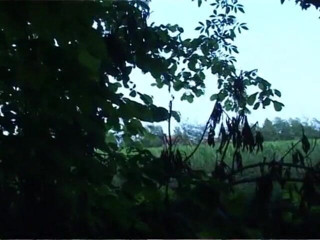 Out Sexxx: itaalvi shaukiya kaale baal vaali gramin ilaakon men do land...