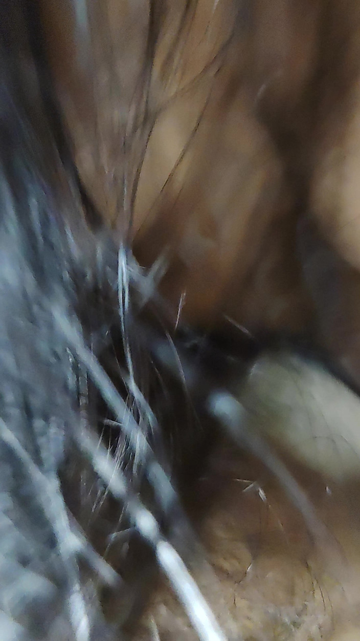 Cute queen: Hoy el amigo de mi esposo vino a follarme