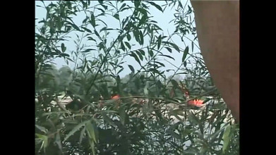 69 Italian District: Sin Beaches (film porno complet)