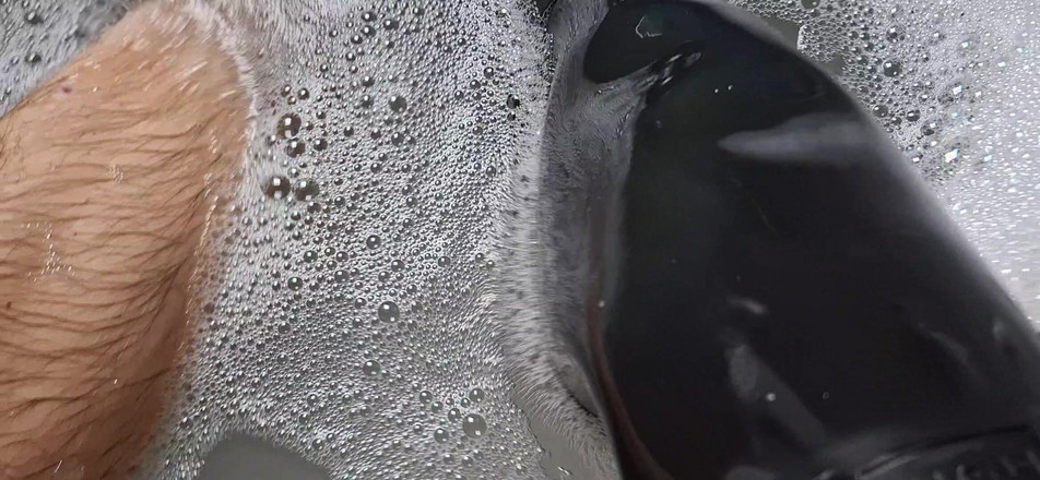 Dreamofevolution: Violets是蓝色的，玫瑰是红色的，猎人靴子是黑色的