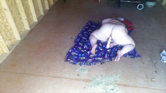 Lyla Switch: Sexy e sporca nel capanno