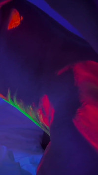 Buckle up Baby, This Booty Doesn't Play Fair