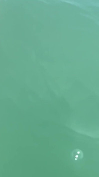 2536544467.