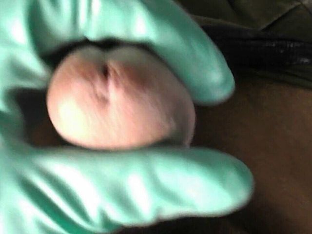 Latex Gloves (Four gloves)