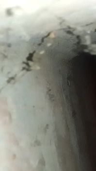 My Real Viral Video