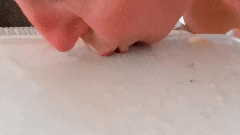 Farmers Wifey: 女王在厨房柜台上撒尿