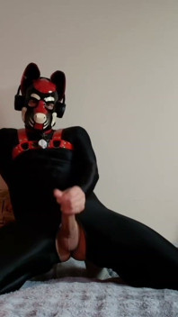 Needy Black Suit Pup Strokes and Cums. Full on My Fancentro