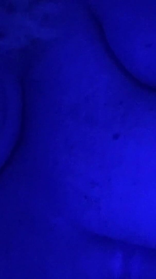 Caught Again! (Blanca Girl BBW)