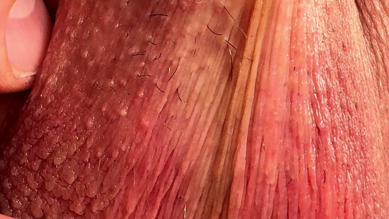 Leonardo-1974: Close-up Testicles Massaging Until Big Cumshot