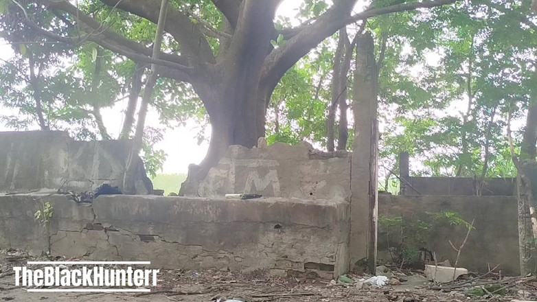 TheBlacKHunterr: Masturbacja w parku