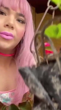 Jessie-ross TS