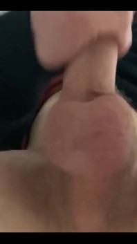 White Cock